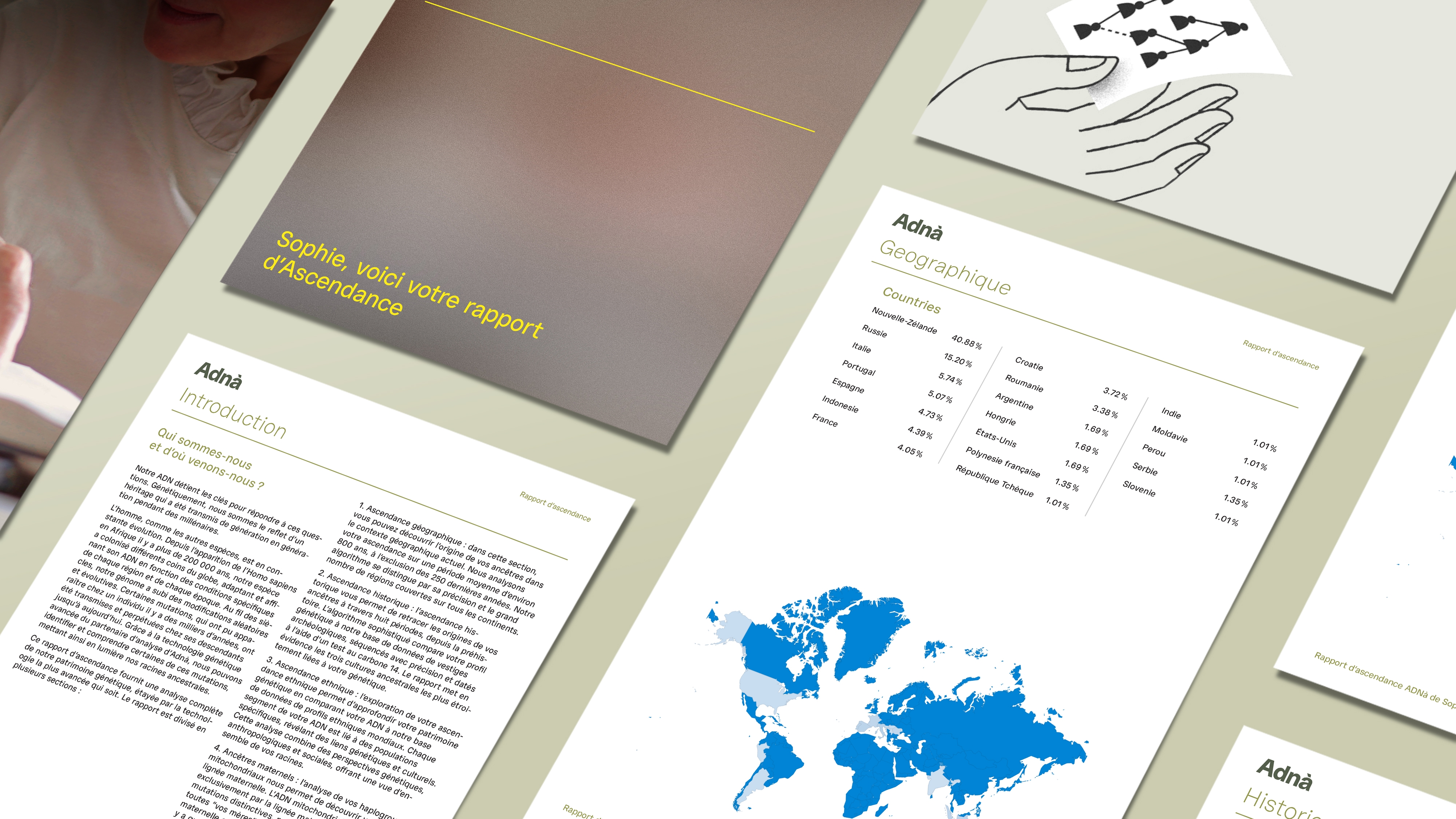 Adna Visuel Rapport Accueil ANCESTRY FR